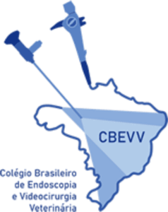 CBEVV
