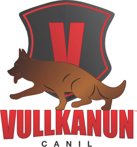 Vullkanun